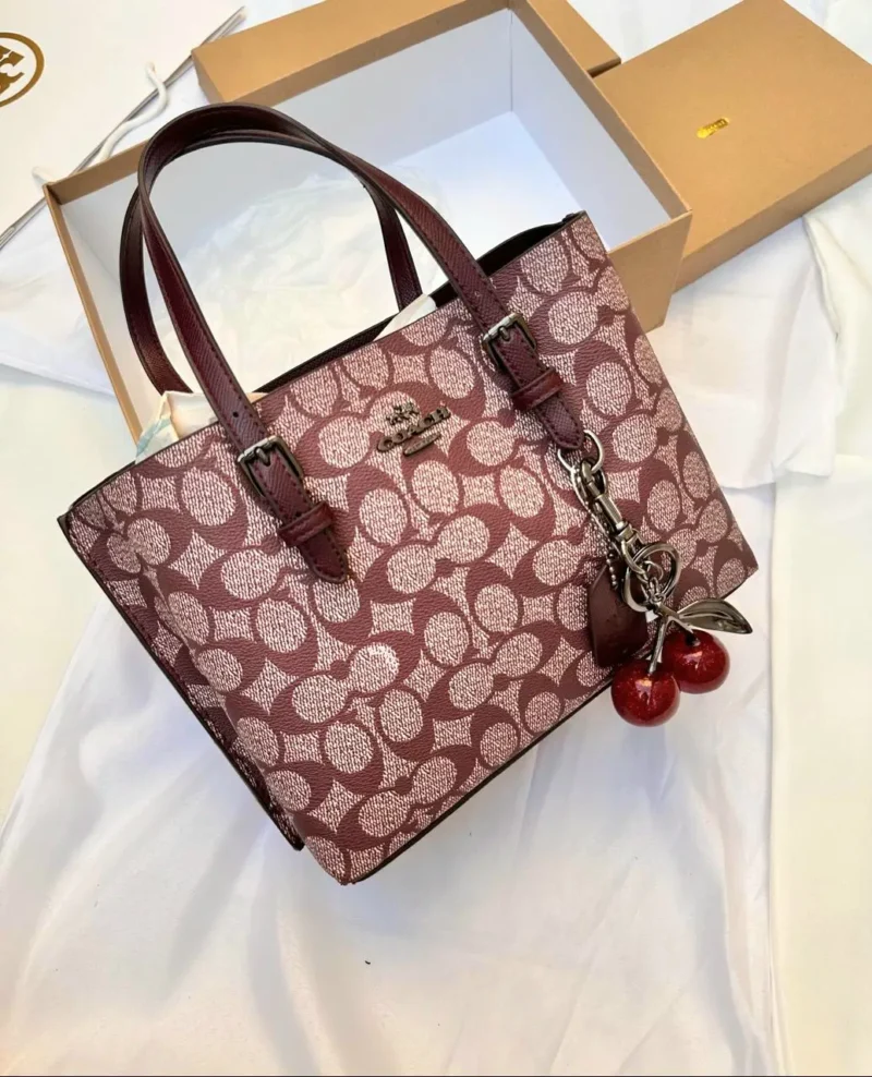 شنطة كوتش نسائية موديل جديد