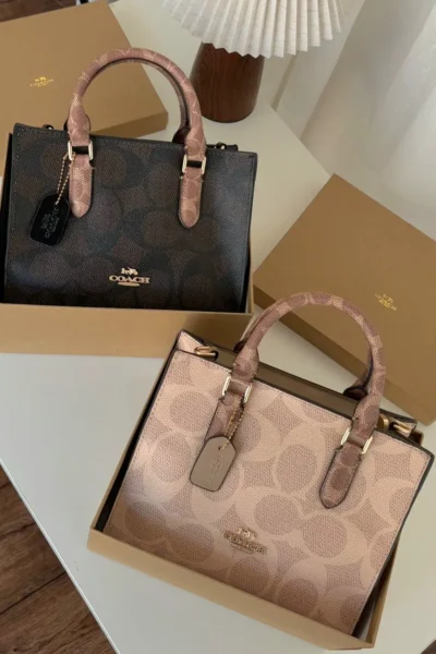 شنط كوتش مولي توت