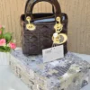شنطة ديور بني