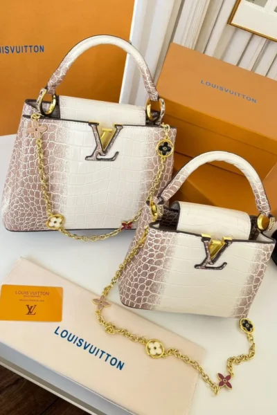 شنطه لويس فيتون كابوسين