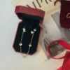 سلاسل وحلقان كارتير