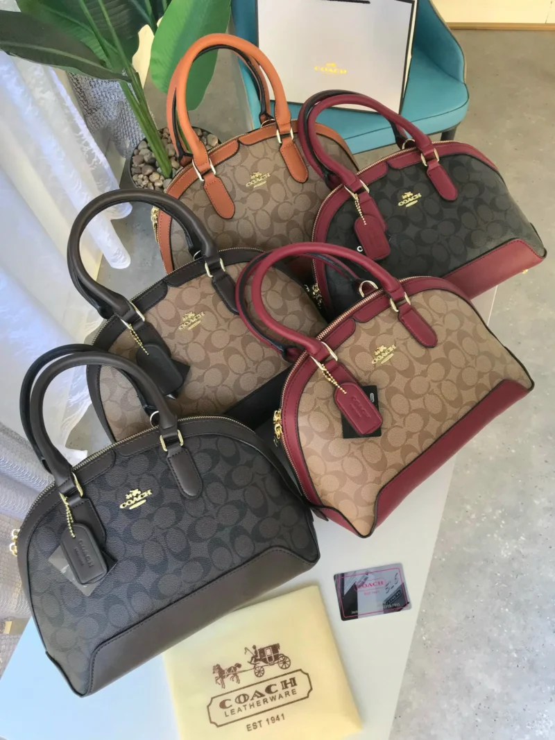 شنط نسائي كوتش