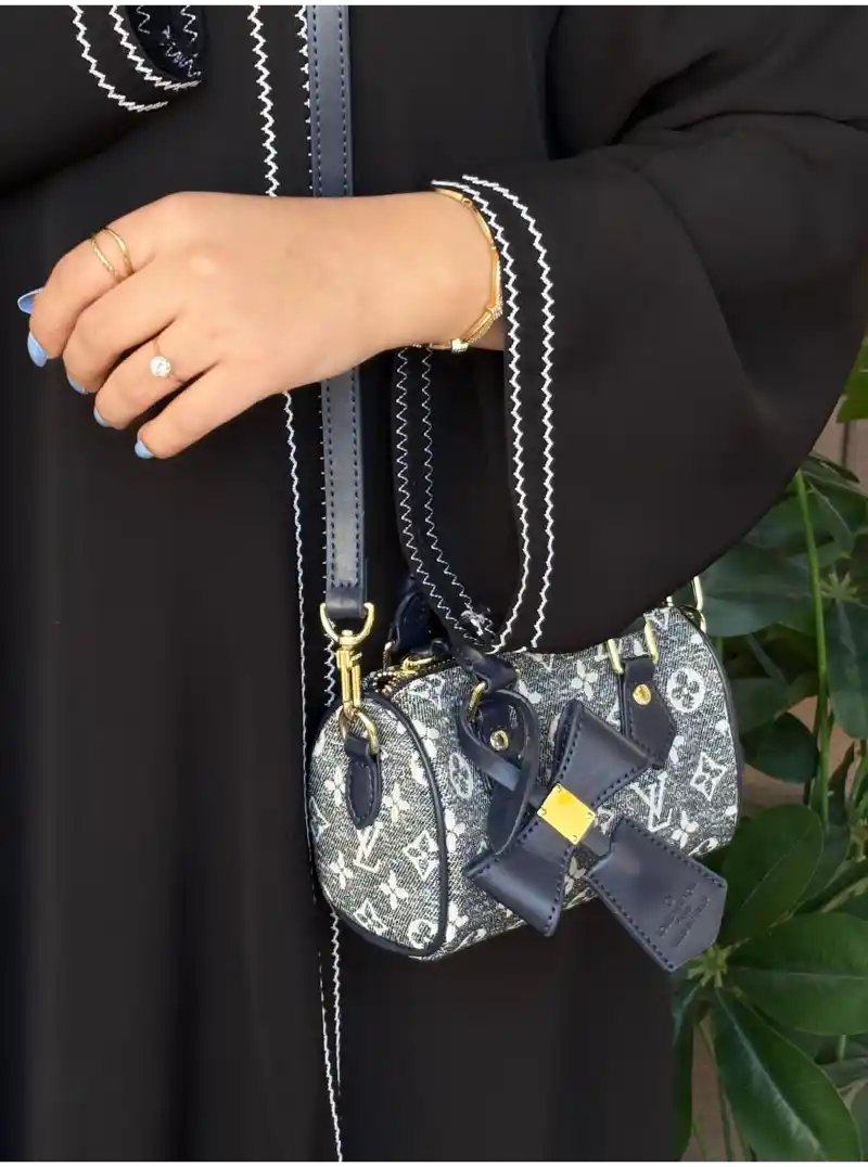 حقيبه لويس فيتون نسائيه