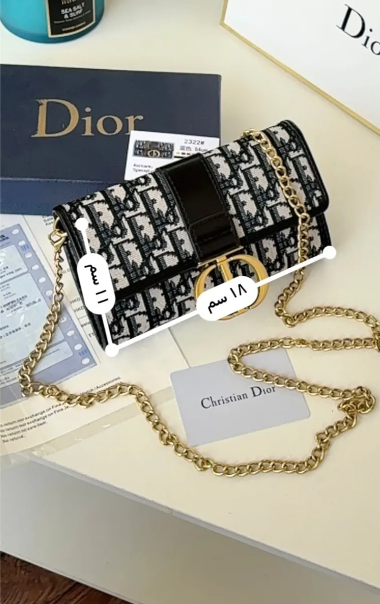 شنط صغيرة موضة