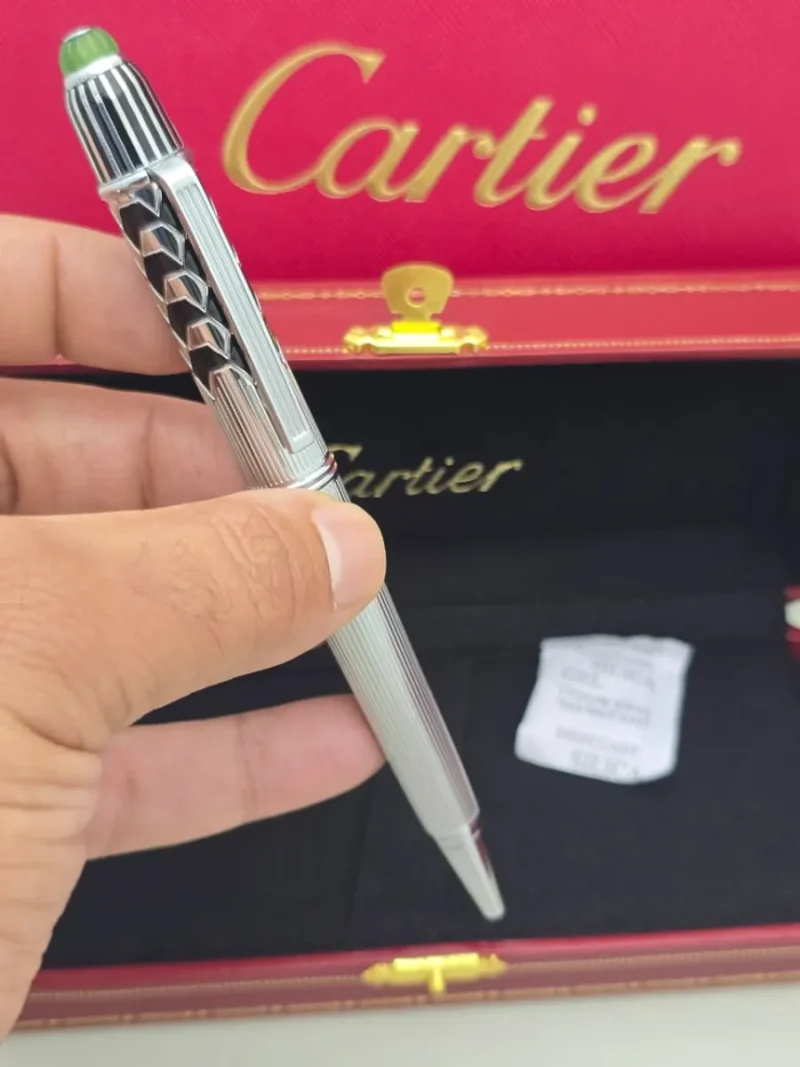 قلم ديابلو كارتير